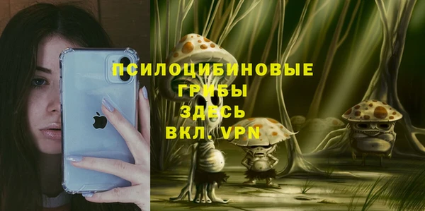 каннабис Каменногорск