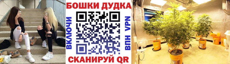 Марихуана планчик Дрезна